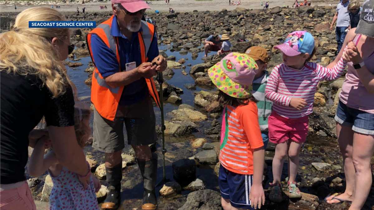 Seacoast Science Center hosts World Oceans Day activities in Rye