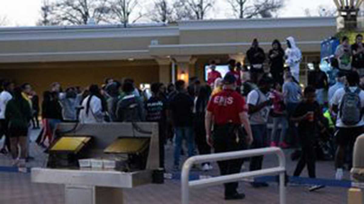 Fun Pollce Worlds of Fun, police arrest teens after massive fight Saturday - KMBC