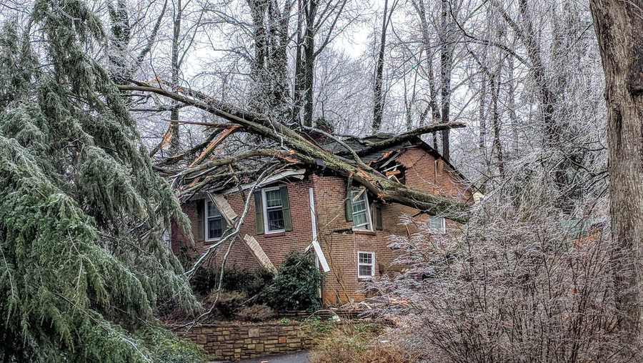 Tree Falls On Mans House During Storm 