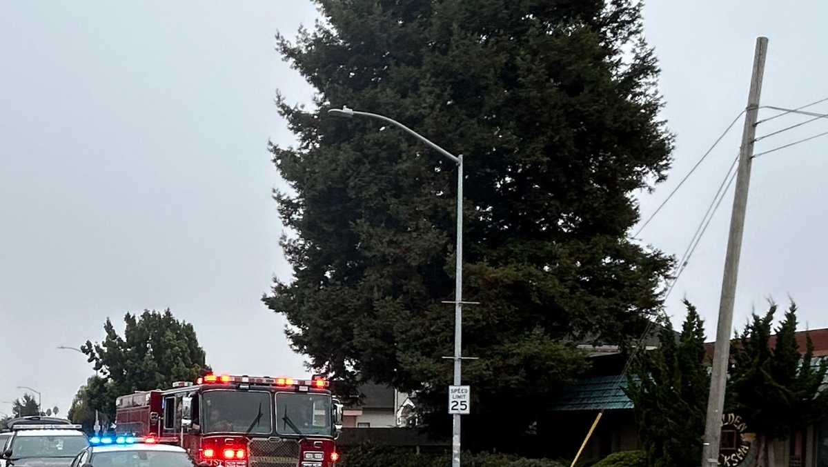 Pedestrian dies weeks after being hit by vehicle inCalifornia