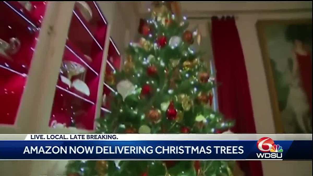 What's in the Amazon box? Maybe a real 7foot Christmas tree