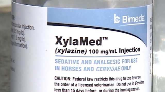 Florida officials respond to rising concerns of drugs mixed with Tranq - Vimarsana News