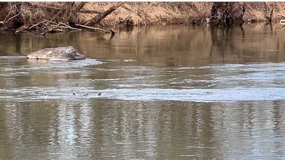 Drought conditions in North Carolina are getting worse | Low river levels and latest Drought Monitor
