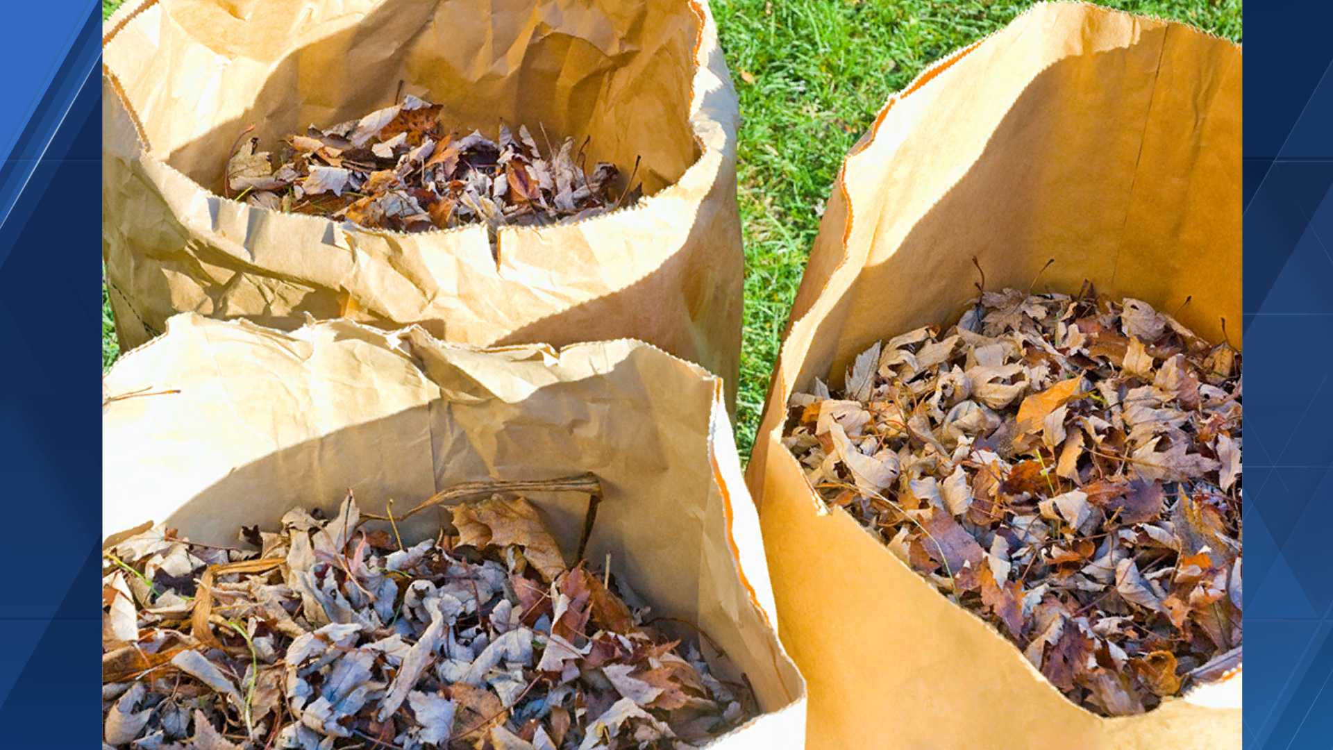 Omaha Free Fall Yard Waste Collection Starts Monday