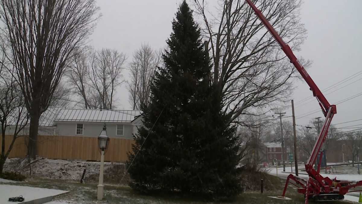 Group of residents finds Christmas tree for Maine community through Facebook Marketplace