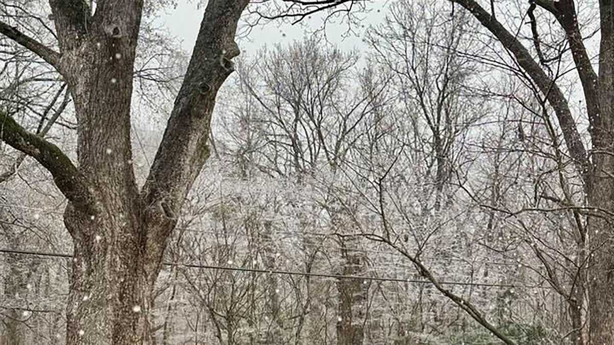 Ice moves into central Mississippi; state braces for second wave, followed by pipe-bursting cold