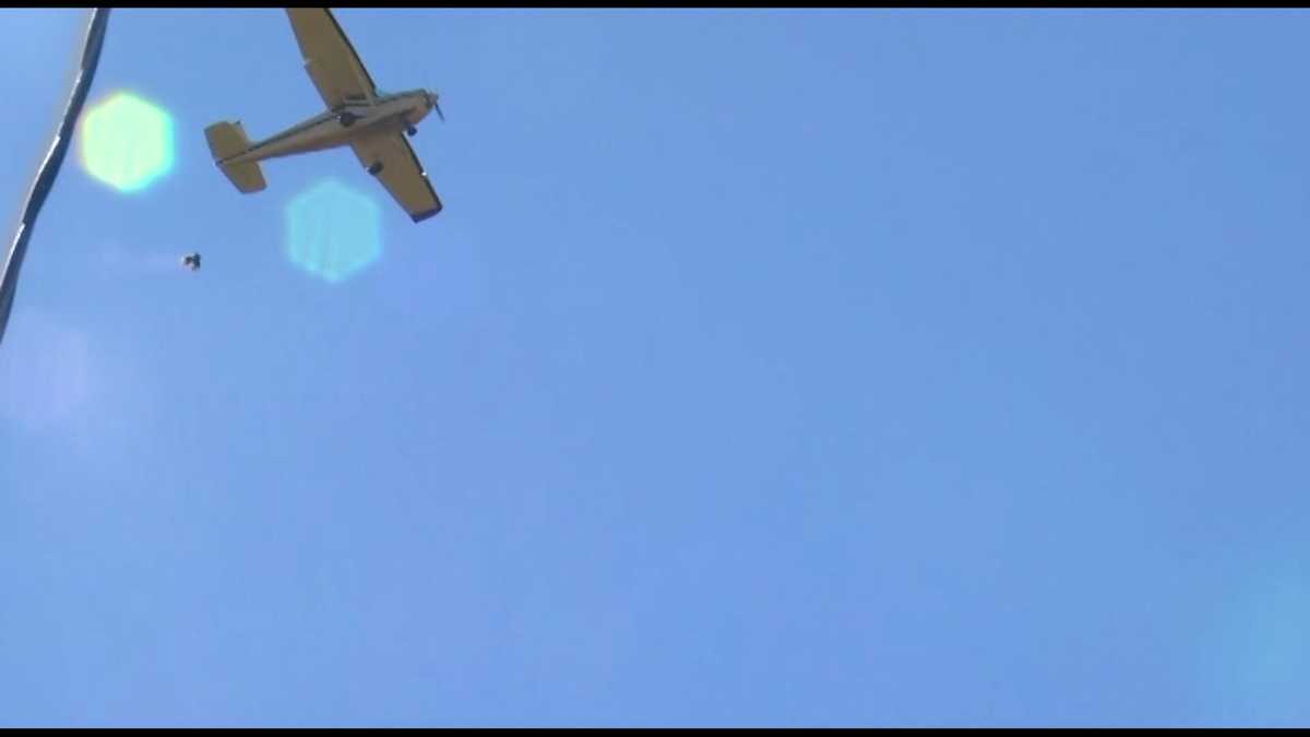 FAA investigates Yellville turkey drop