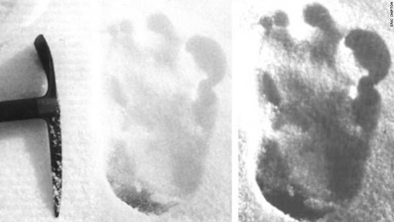 Yeti Scan Scientists perform DNA tests on 'Yeti' samples - WVTM