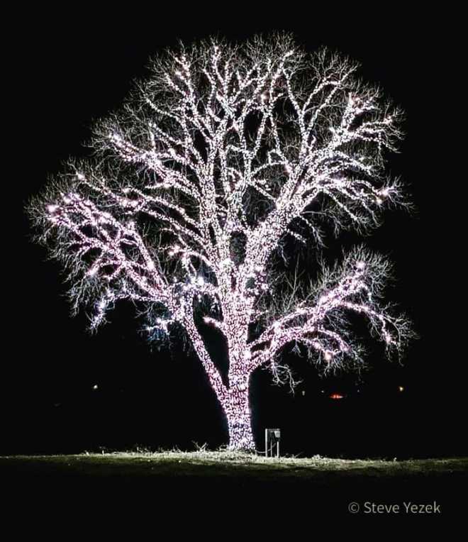 You must see Hanlontown, Iowa's tree covered in Christmas lights