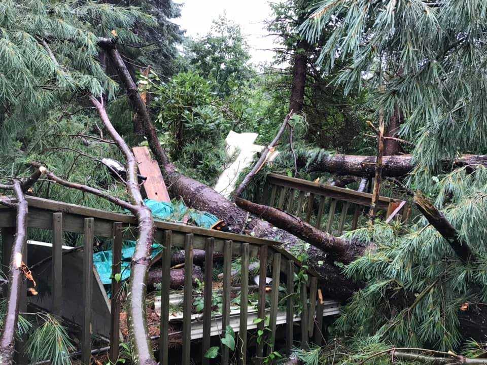 Trees Down, Thousands Without Power After Storms Slam Maine