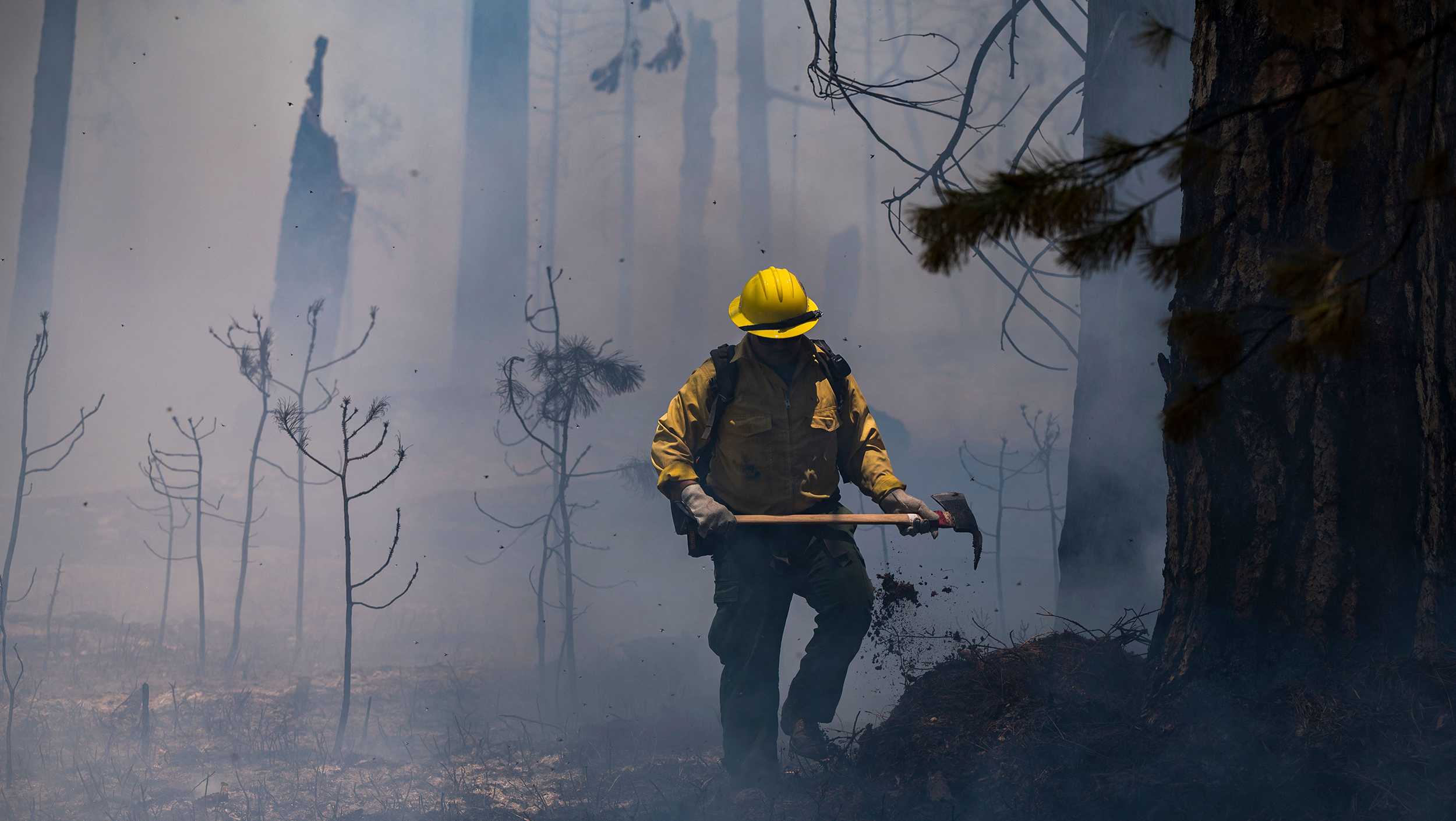 Firefighters are gaining ground in the fight to protect Yosemite's giant sequoias - Vimarsana News