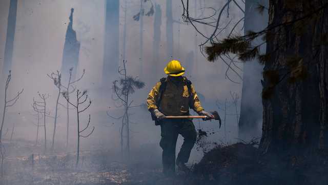 Firefighters are gaining ground in the fight to protect Yosemite's giant sequoias - Vimarsana News