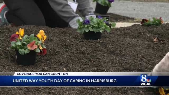 More than 200 students joined the 'Youth Day of Caring' - Vimarsana News