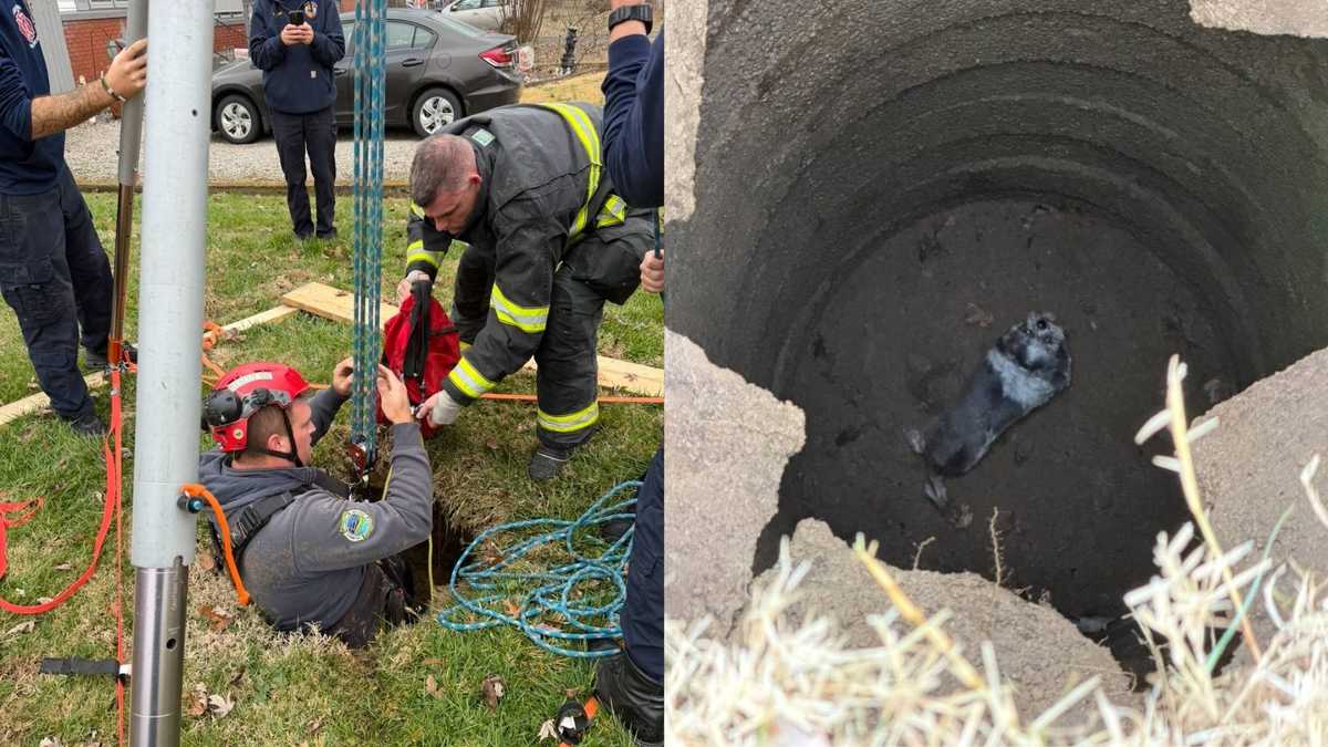 PRP firefighters rescue dog from abandoned septic tank