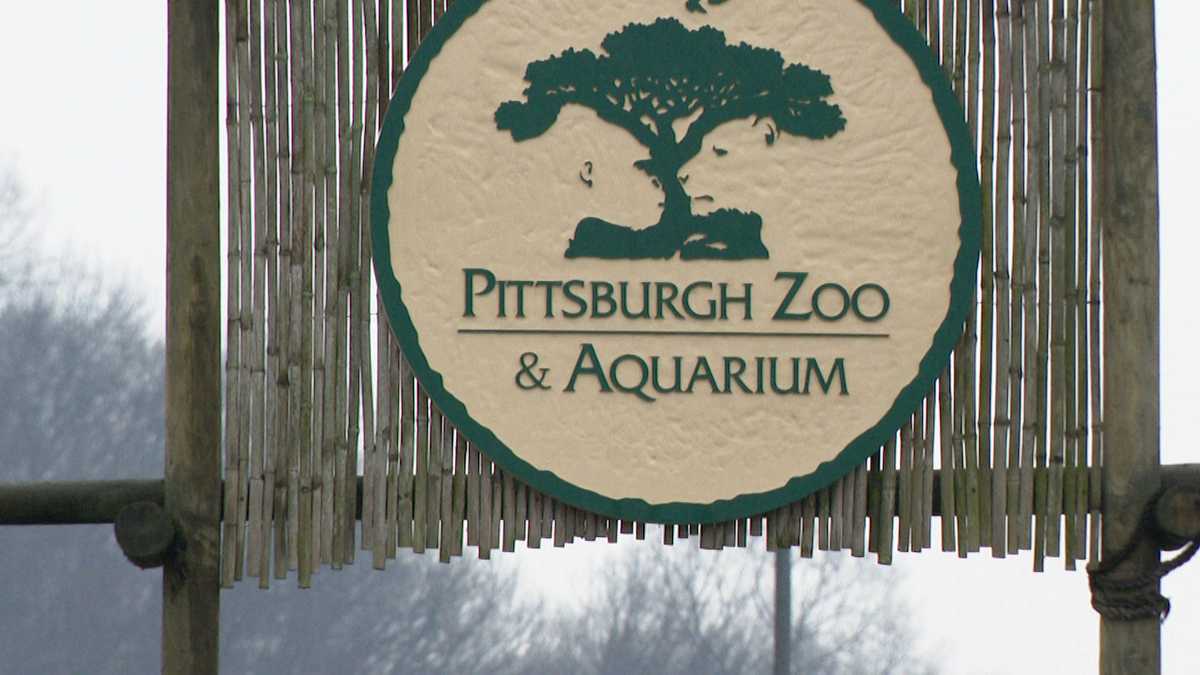 Pittsburgh Zoo staying tight lipped, for now, on recent animal deaths