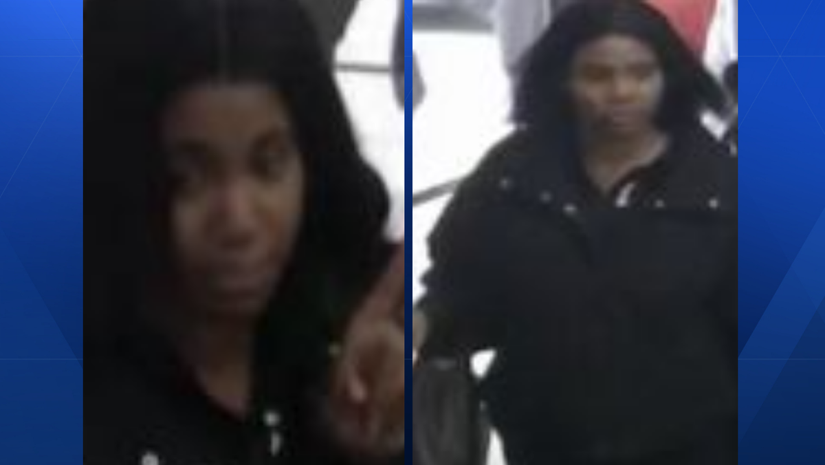 Police searching for suspect accused of stealing from car at Cincinnati Zoo