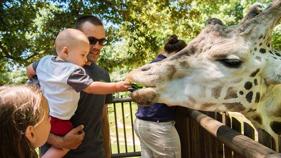 Top 5 best outdoor hangout spots in the Piedmont Triad