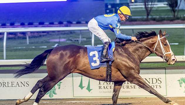 Derby & Oaks runners Zozos and Hidden Connection put a winning bow on their sophomore seasons - Vimarsana News