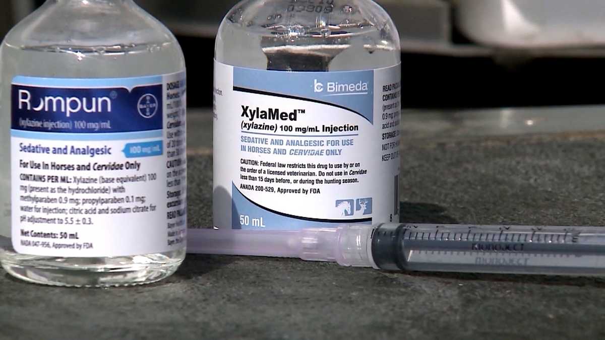 What to know about the drug xylazine and why it's making fentanyl worse -  ABC News