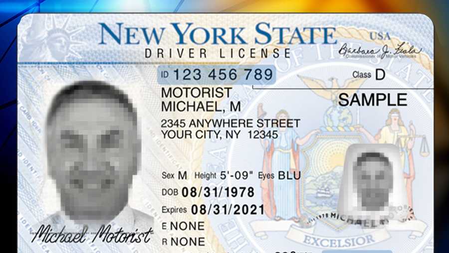 Document number nys driver