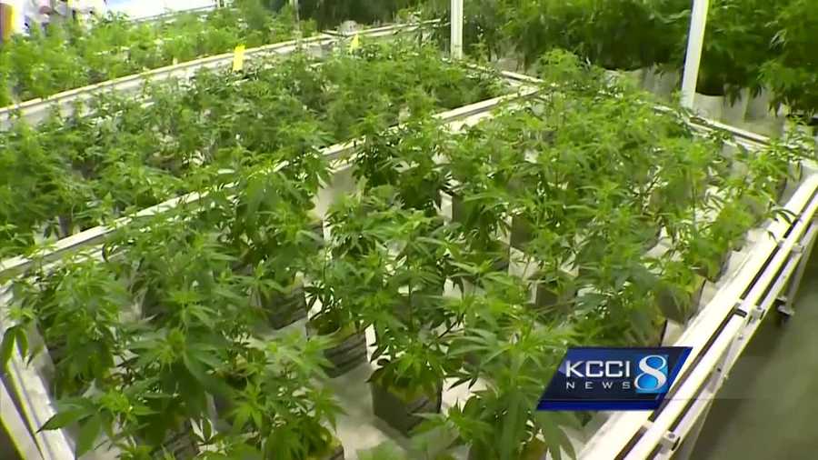 Iowa lawmakers debated a new version of a medical cannabis oil bill Wednesday.