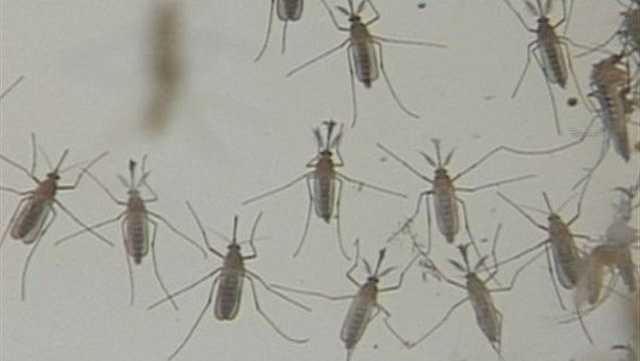 Aerial spraying to kill mosquito populations possibly carrying the West Nile Virus will begin over Sacramento County.