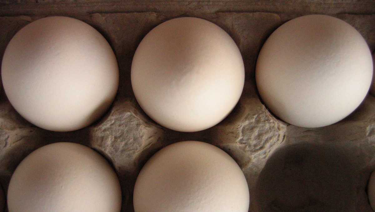 13 states launch new legal challenge to California egg law