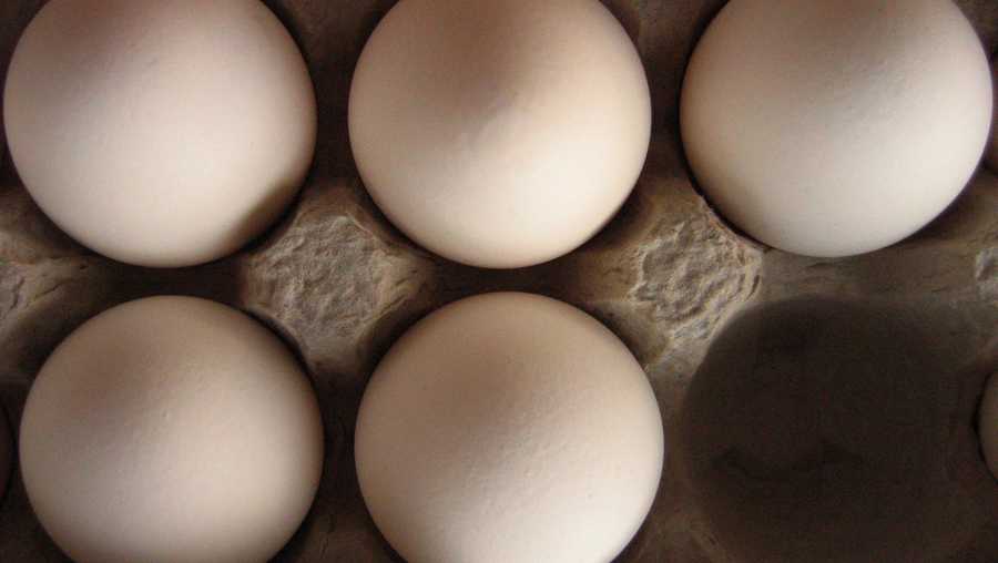 Eggs usually cost a dollar for a half-dozen, and they are a good source of protein.