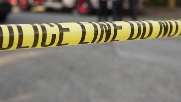 3 killed, several wounded in separate shootings in LA area - Vimarsana News
