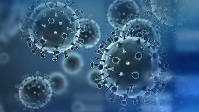 flu-strain.jpg Flu virus