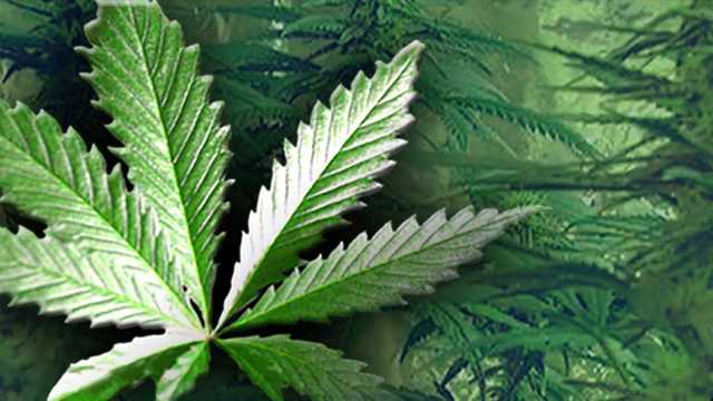 Major change to employment drug testing just came to California - Vimarsana News