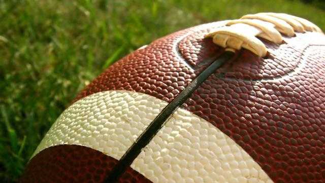 a closeup shot of a football resting on grass