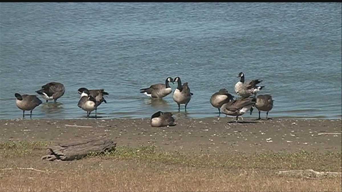 What�s new at Desoto National Wildlife Refuge