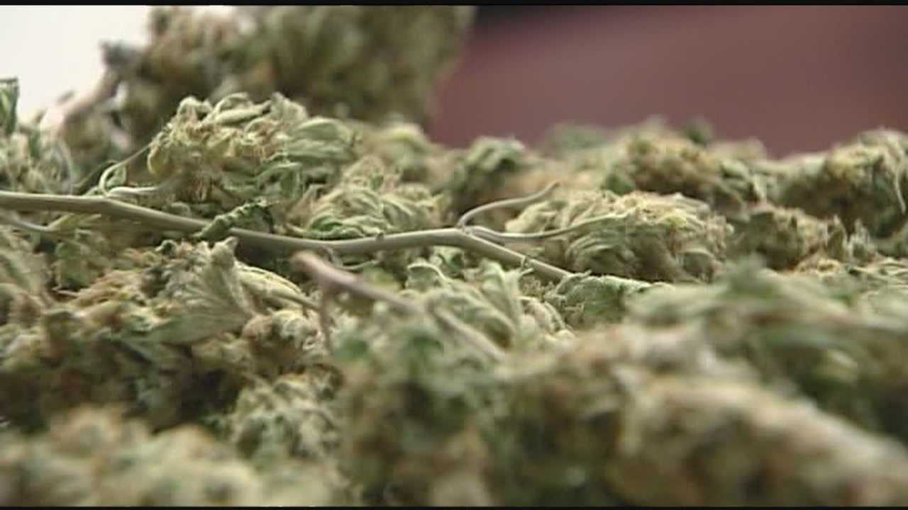ketv.com - Jake Anderson - Pillen signs off on medical marijuana rules approved by Nebraska attorney general