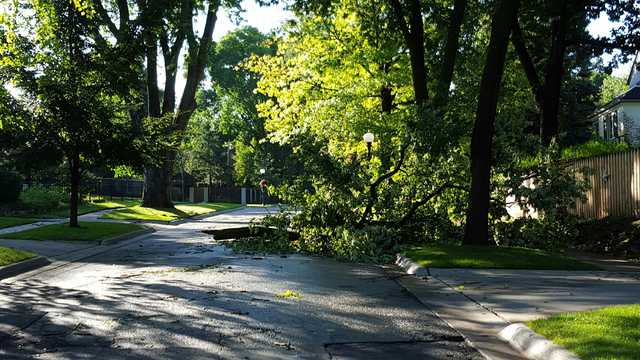 Council Bluffs accepting tree debris Friday, Saturday - Vimarsana News