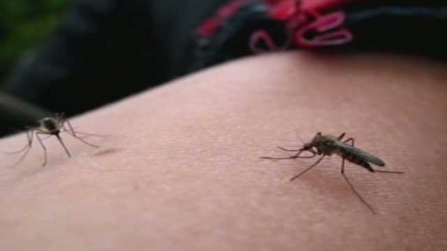 Un caz de malarie dobândită local identificat în Arkansas