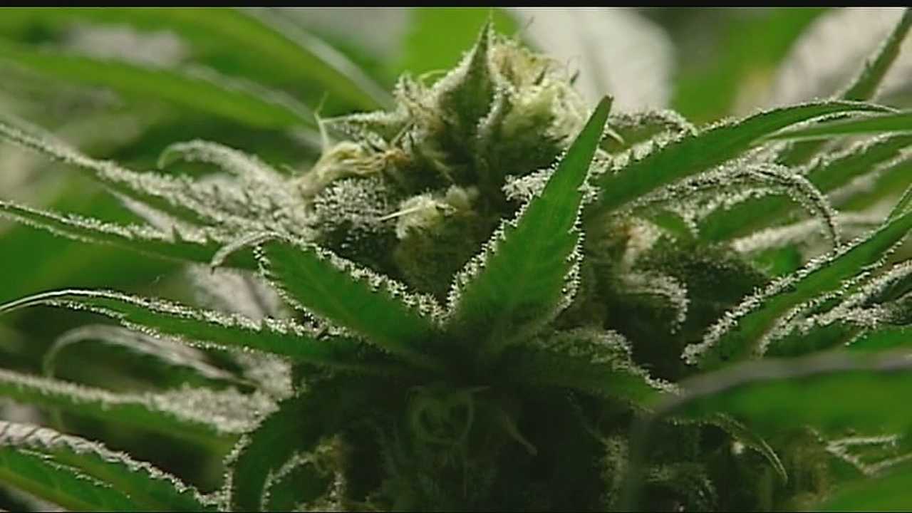 kmbc.com - Nick Sloan - Missouri lawmaker introduces constitutional amendment that would dramatically rewrite state marijuana laws