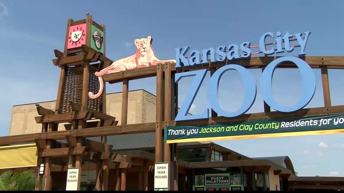 KC Zoo issues Code Red after elephant spotted in area where it shouldn't be