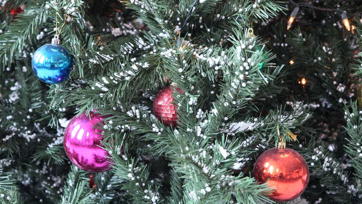 Albuquerque Christmas Tree Recycling 2022 City Offers Free Christmas Tree Recycling