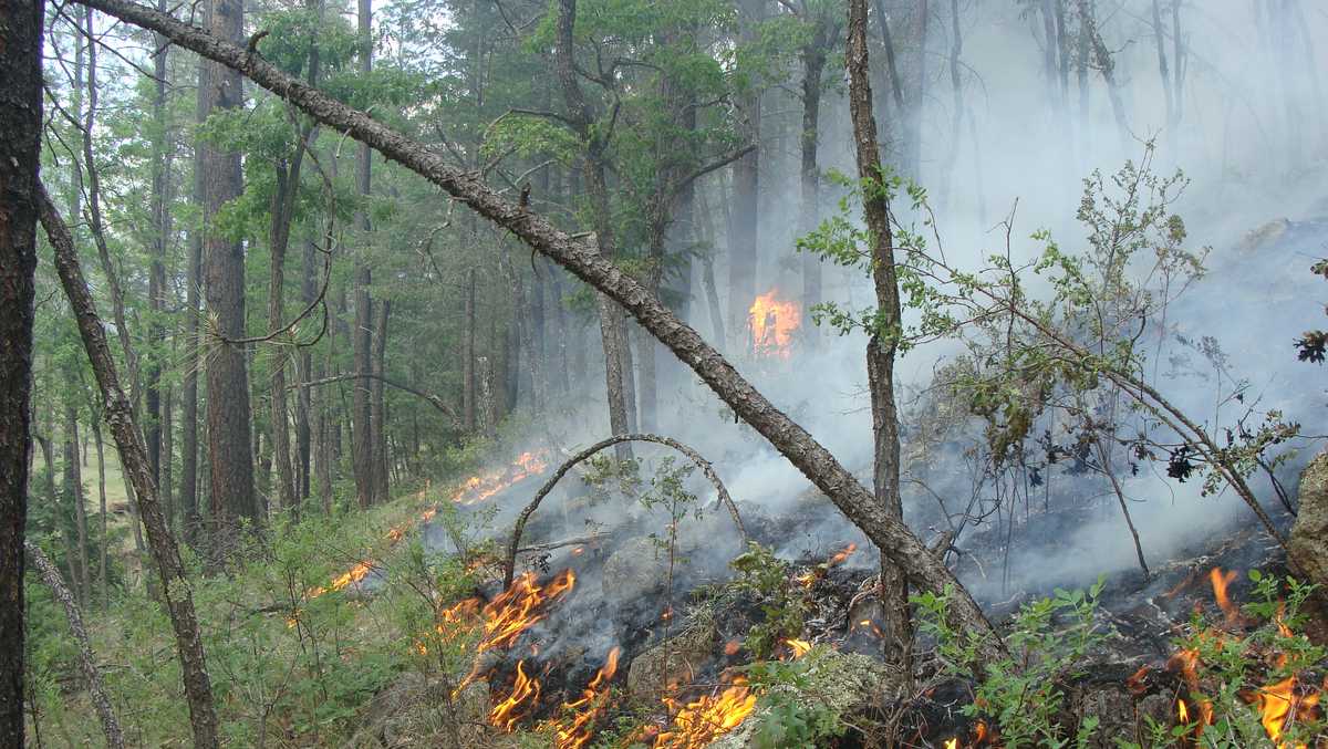 Wildfire recovery project coming to affected New Mexico residents