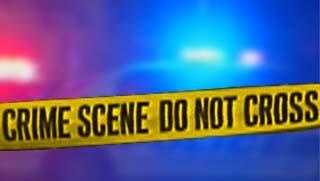 Hit-and-run collision in Hobbs kills two pedestrians and dog - Vimarsana News