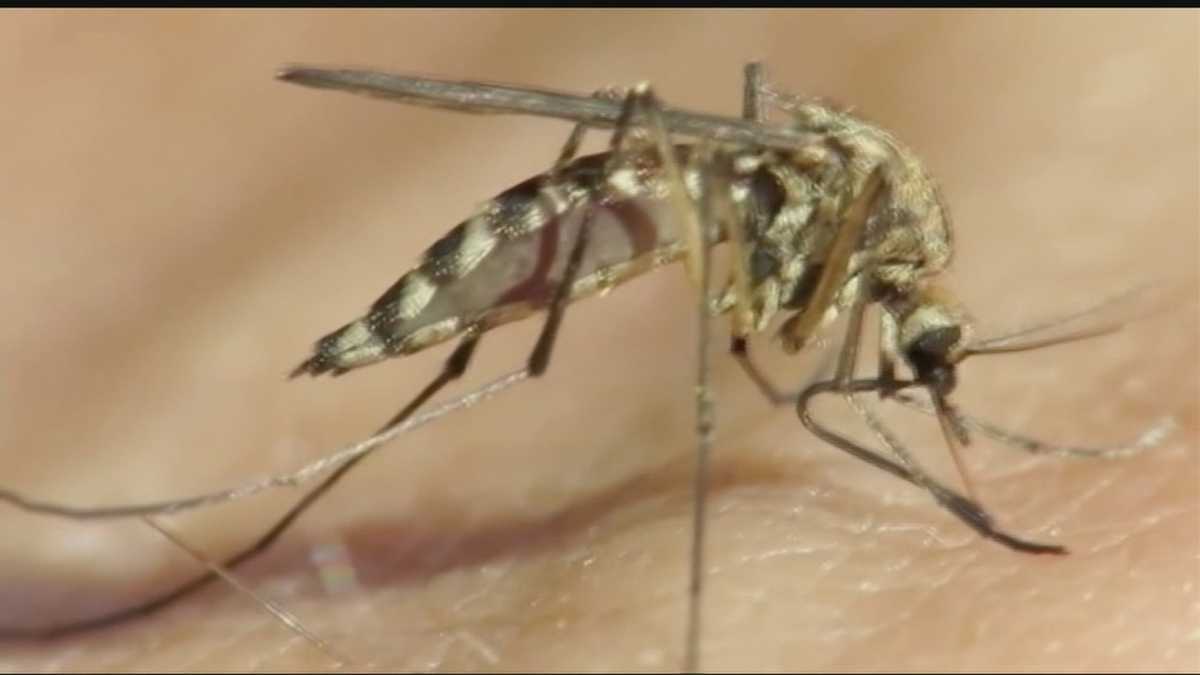 Oklahoma reportó sus primeros casos humanos del virus del Nilo Occidental para 2023