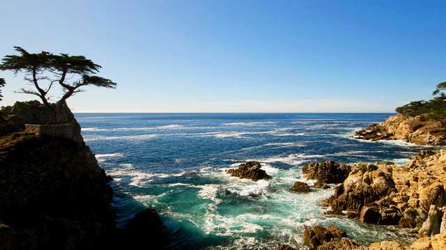 Busy weekend of events planned across the Central Coast - Vimarsana News