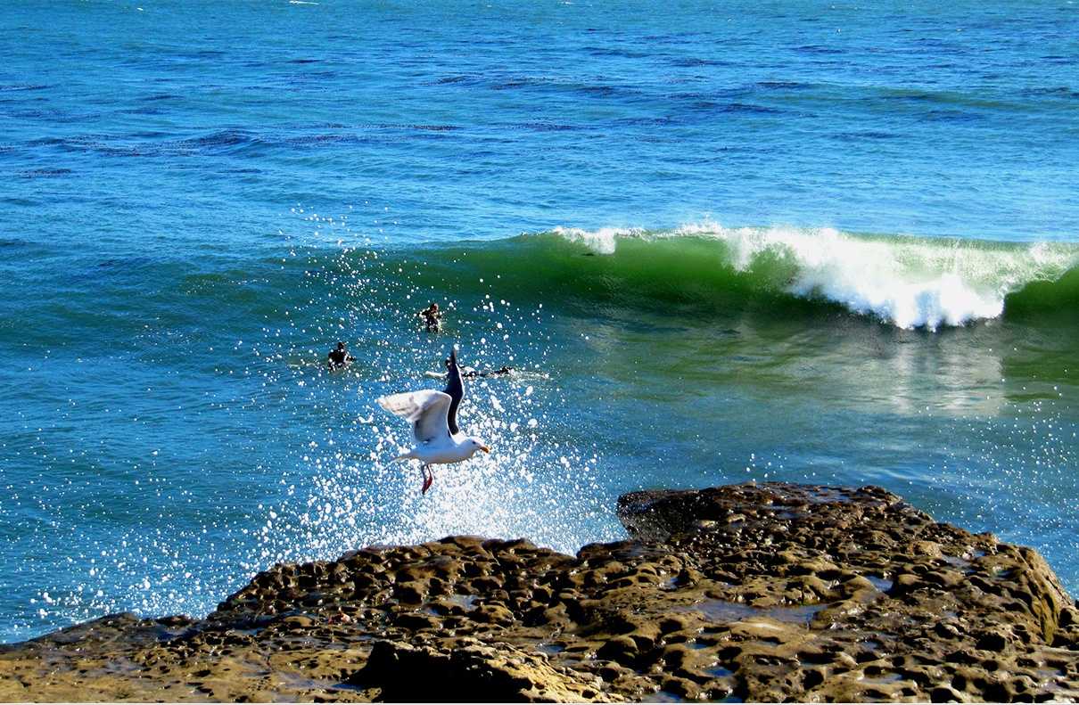 Santa Cruz County s eroding ocean cliffs