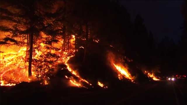 California's wildfire season may be different this year - Vimarsana News