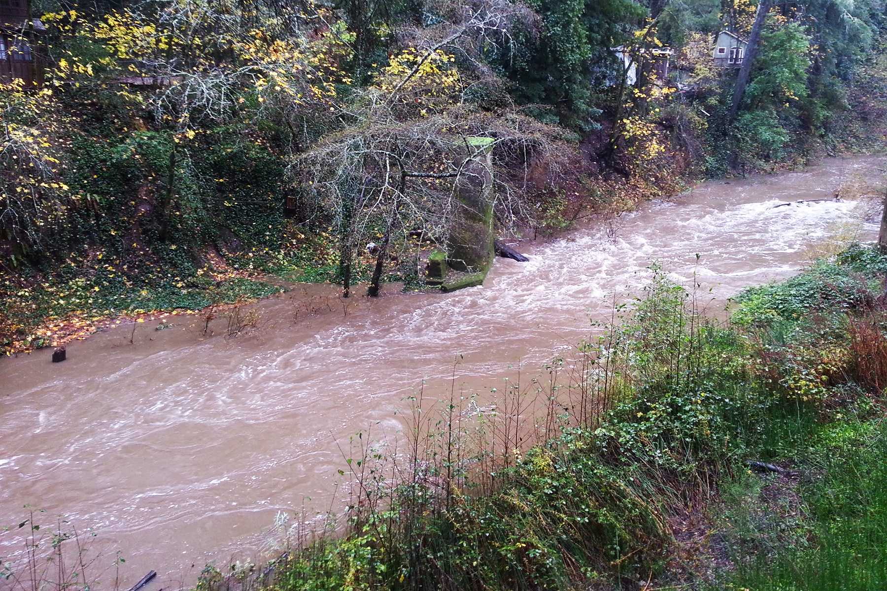 Shelter in place lifted for Paradise Park in Santa Cruz County