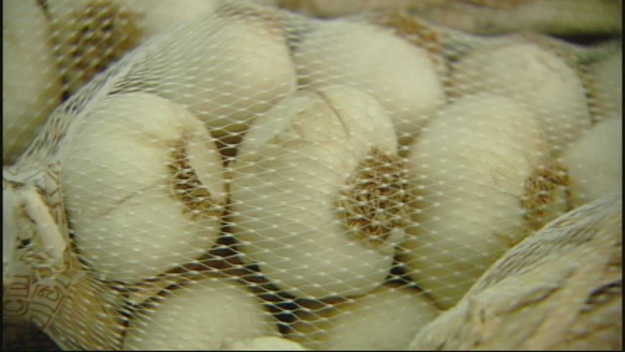 California Garlic Festival moves to Merced County - Vimarsana News