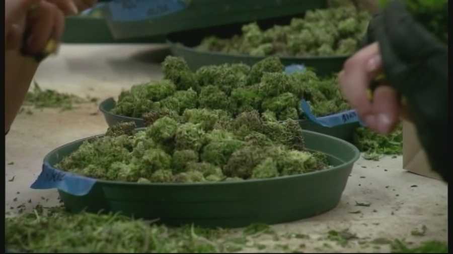 FILE -- Cities on Monterey Peninsula looking to ban medical marijuana dispensaries