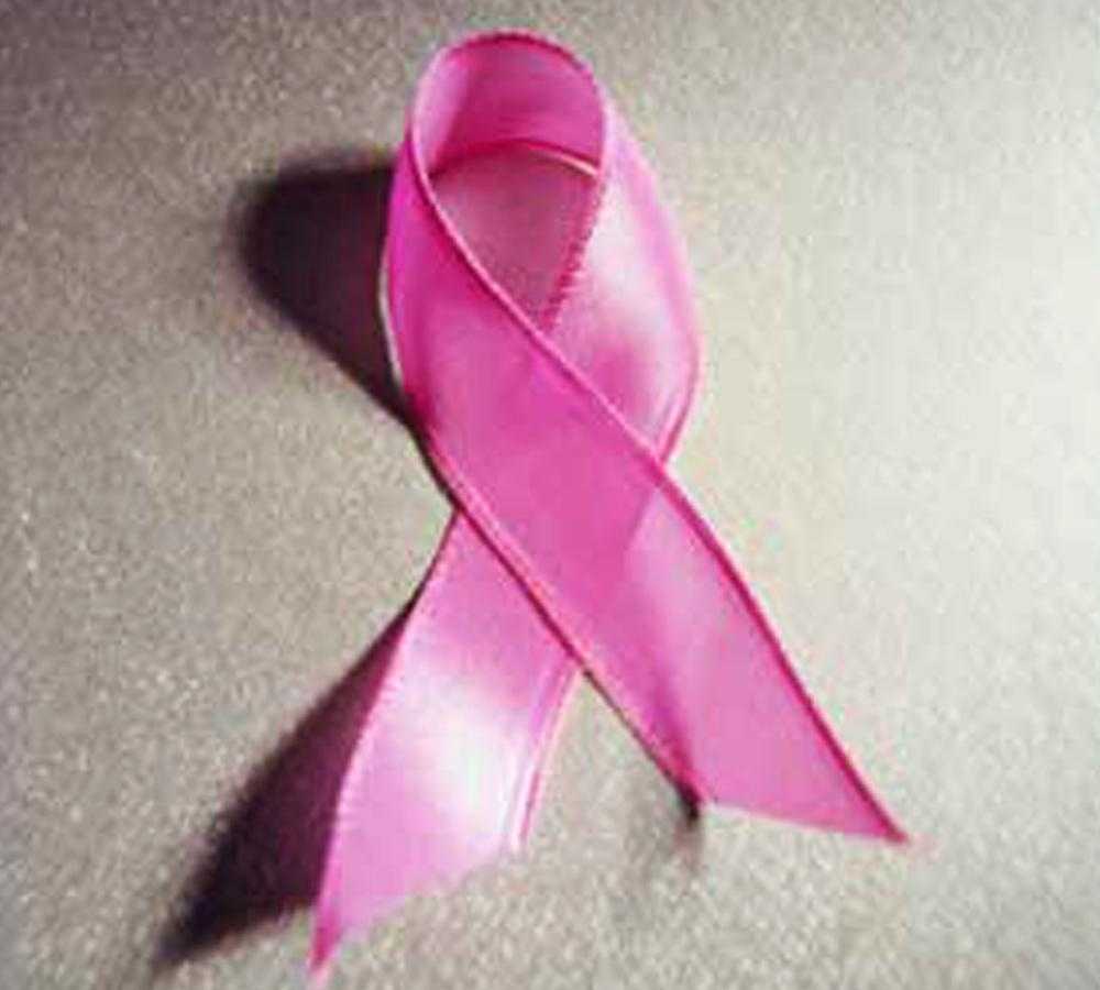 Watsonville Pink Patch Project raises $8,000 for cancer care facility