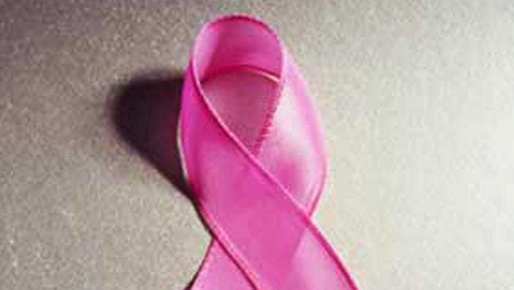 Pink Cdc Watsonville Pink Patch Project raises $8,000 for cancer care facility ...